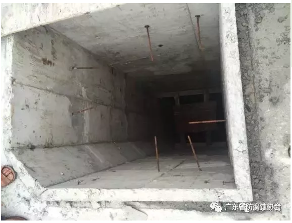 达尔3.png